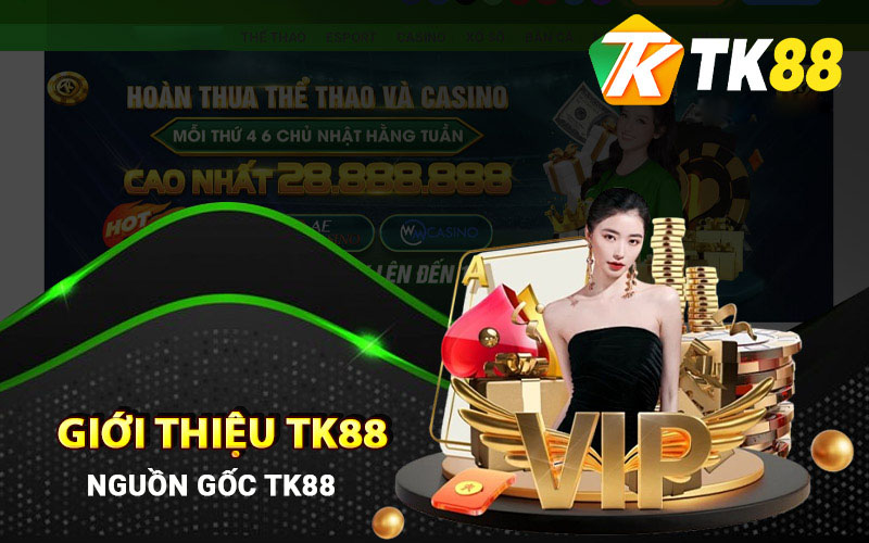Giới Thiệu Tk88 - Nền Tảng Cá Cược Trực Tuyến Uy Tín Top #1 1 Giới thiệu nguồn gốc thương hiệu Tk88